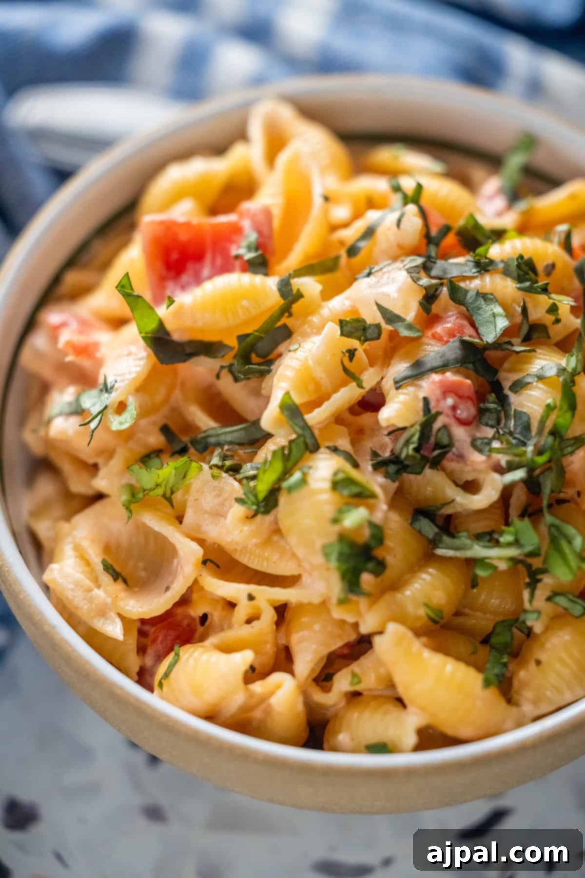Delicious bowl of creamy tomato orecchiette ready to eat.