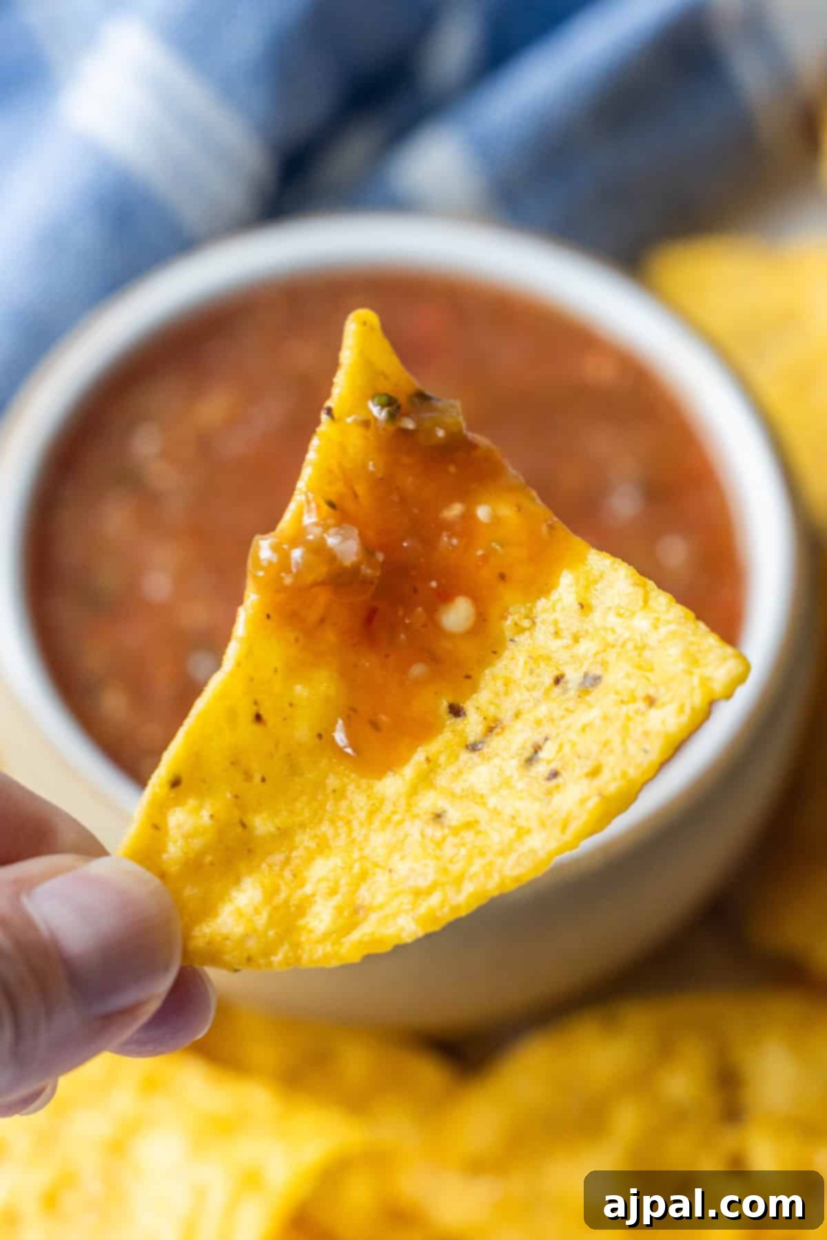 A hand holds a tortilla chip dipped in rich red roasted salsa, with a bowl of salsa and more chips in the background.