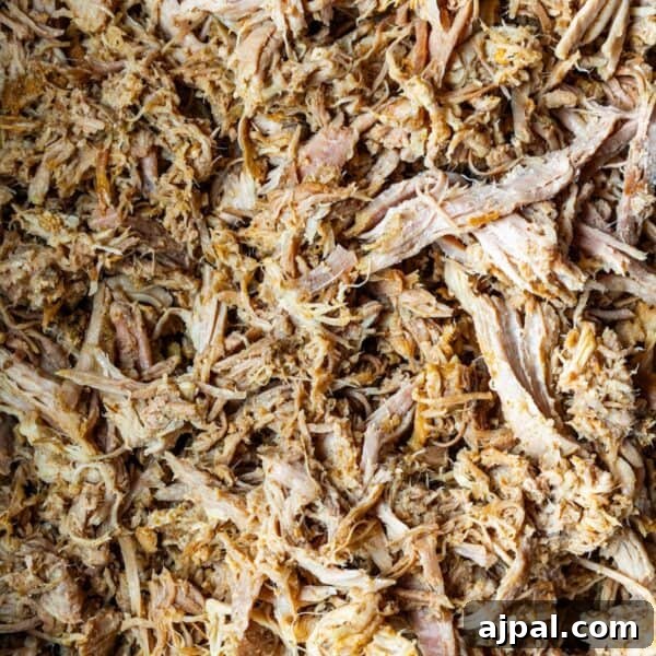Close-up of Slow Cooker Carnitas, showing shredded cooked meat with tender strands and a slightly browned texture.