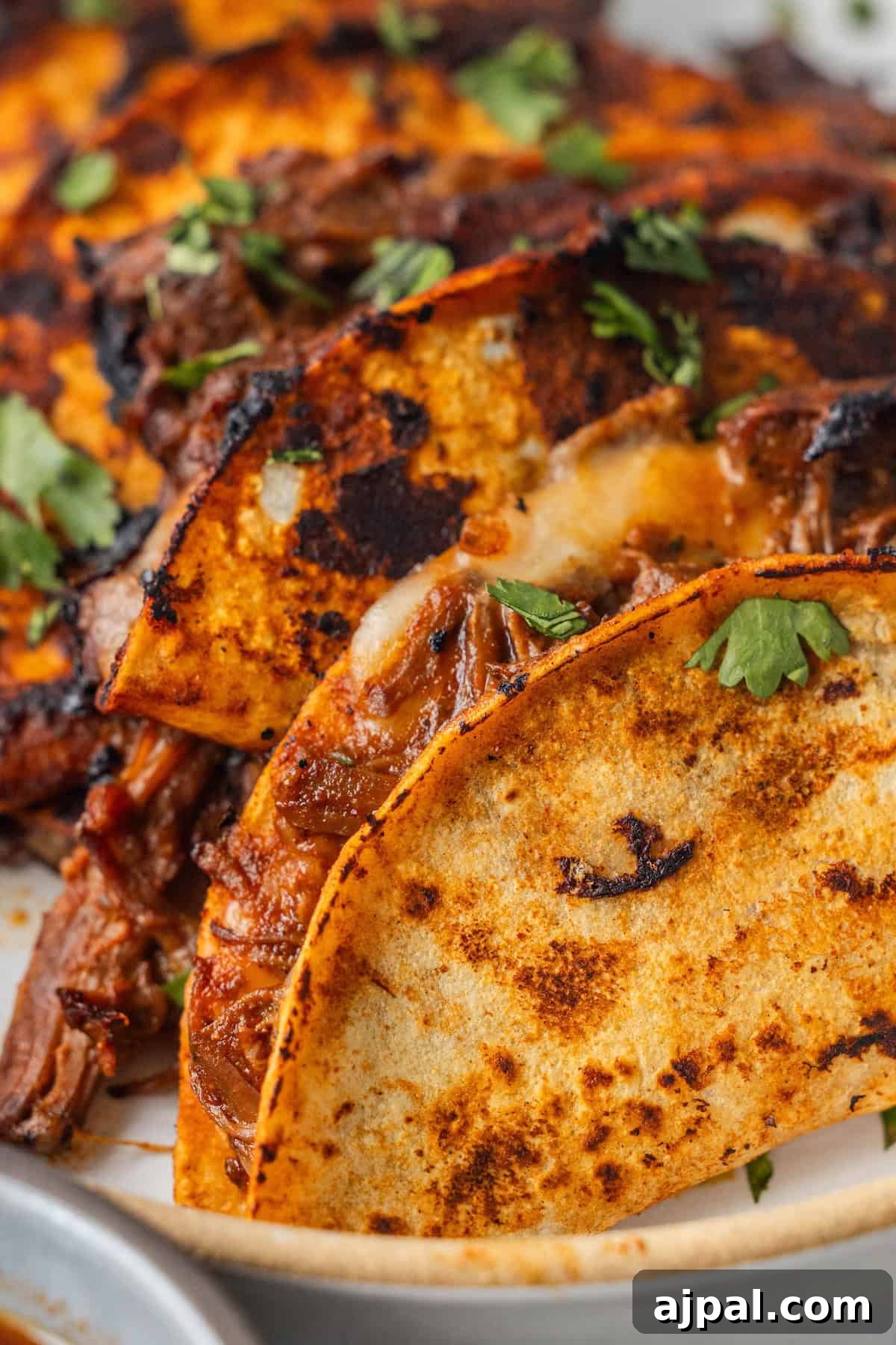 Authentic Birria Tacos Recipe: Juicy Mexican Beef Tacos 2 Close-up of two crispy, golden-brown Birria Tacos filled with shredded beef and melted cheese, garnished with fresh cilantro.