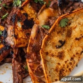 Authentic Birria Tacos Recipe: Juicy Mexican Beef Tacos 17 Close-up of two Birria Tacos with crispy, browned tortillas, filled with shredded beef and garnished with cilantro.