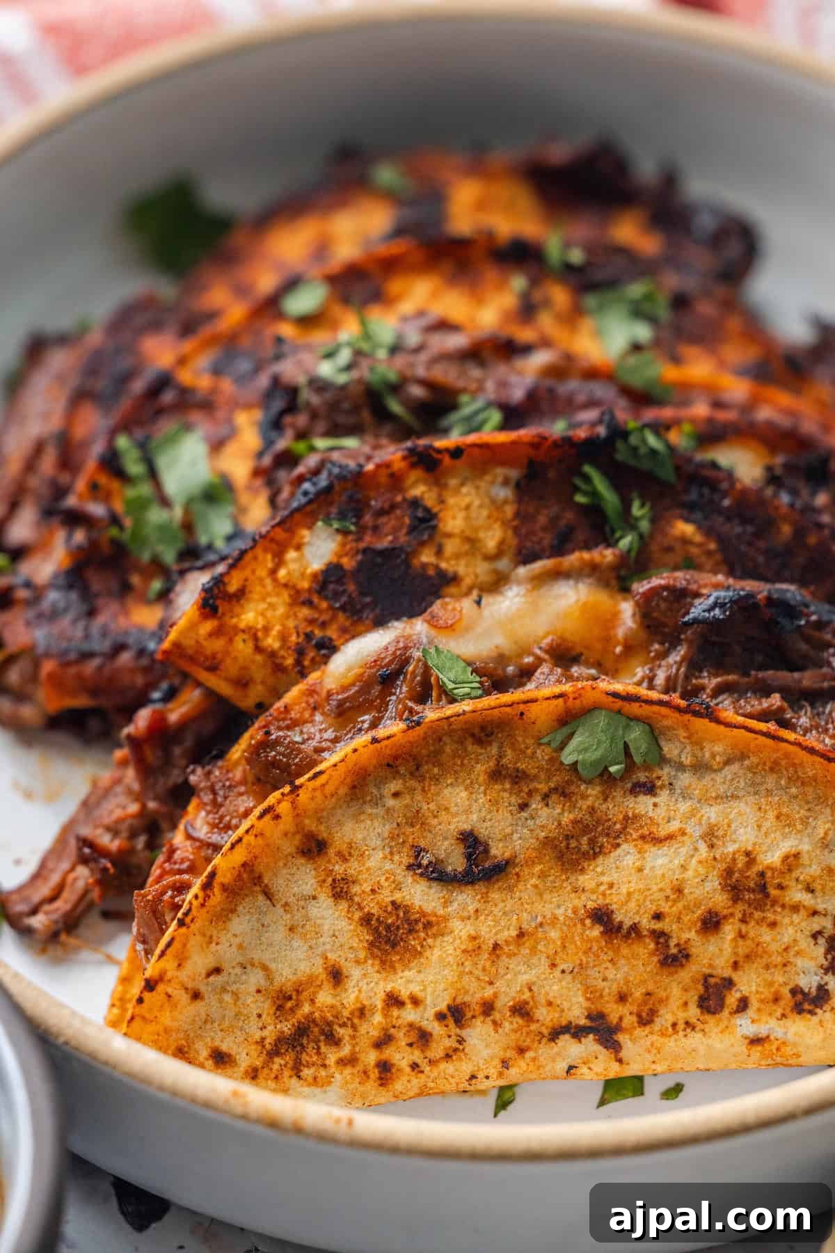 Authentic Birria Tacos Recipe: Juicy Mexican Beef Tacos 4 Three crispy birria tacos filled with shredded beef and garnished with chopped cilantro, served on a white plate.