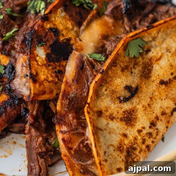 Close-up of two Birria Tacos with crispy, browned tortillas, filled with shredded beef and garnished with cilantro.