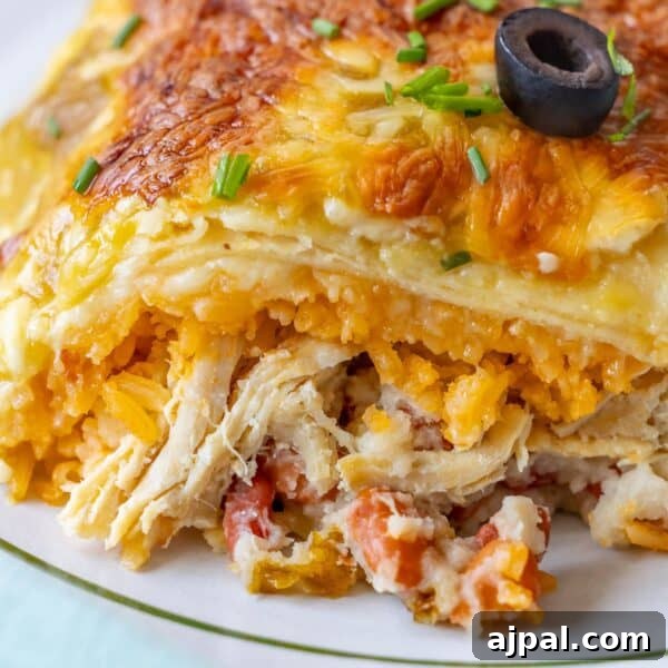 Close-up of a Chicken Enchilada casserole topped with chives and a black olive.