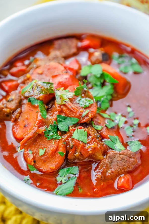 30 Back-to-School Meals That Reheat Perfectly 11 A bowl of Easy One Pot Authentic Hungarian Goulash Beef Stew, garnished with carrots and parsley.